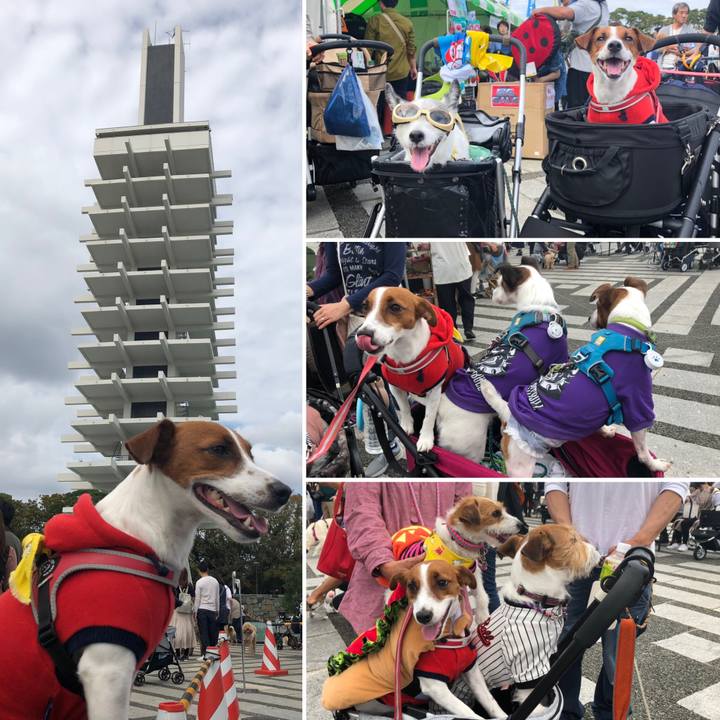 263119a5 571f 4014 9410 b95299a79ff1 1571569773049