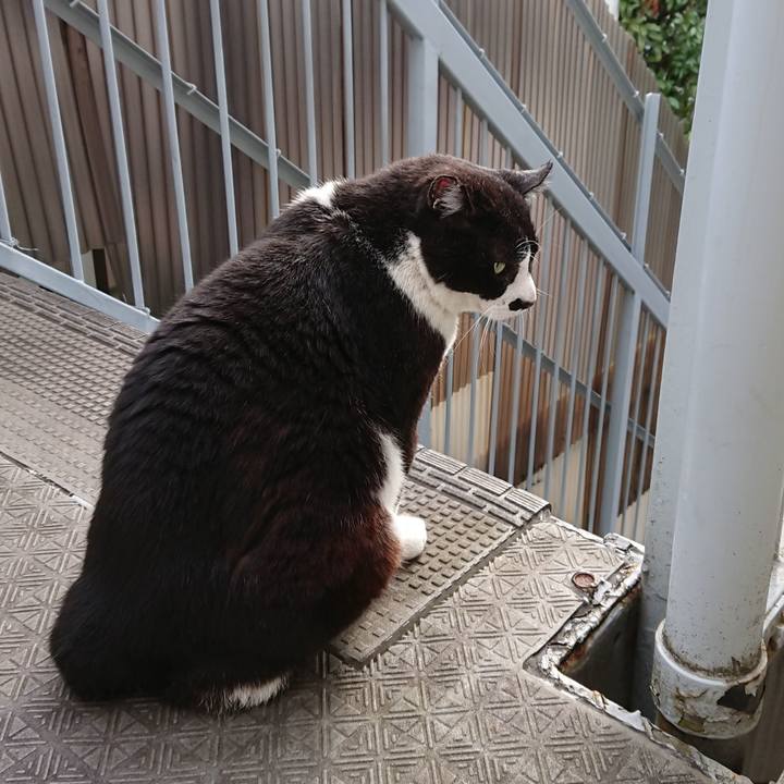 2631353c 50a3 41fd 8db4 64721a544d66 1590362450152