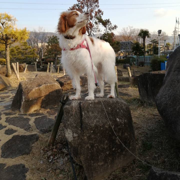 263153ff 69aa 4c91 8749 879325bbb524 1612352974402