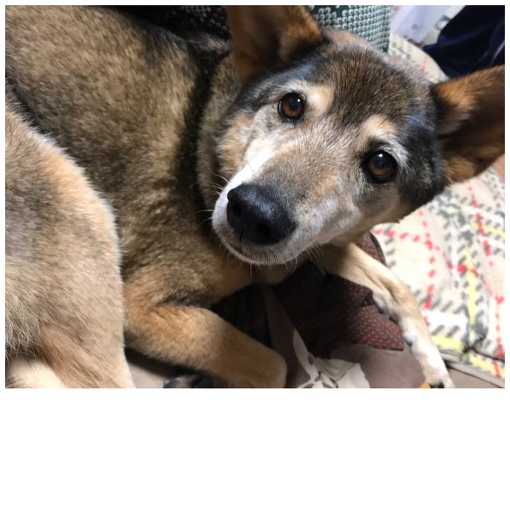 26315abe f701 47af beab fa4acac7e049 1552178157141