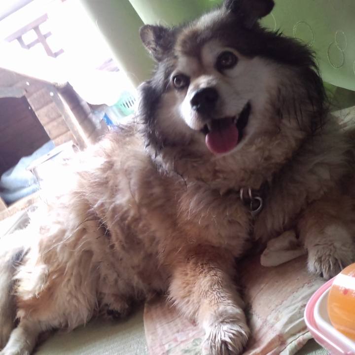 26315d84 3f4d 48b1 ab89 c9af1241f127 1604855748083