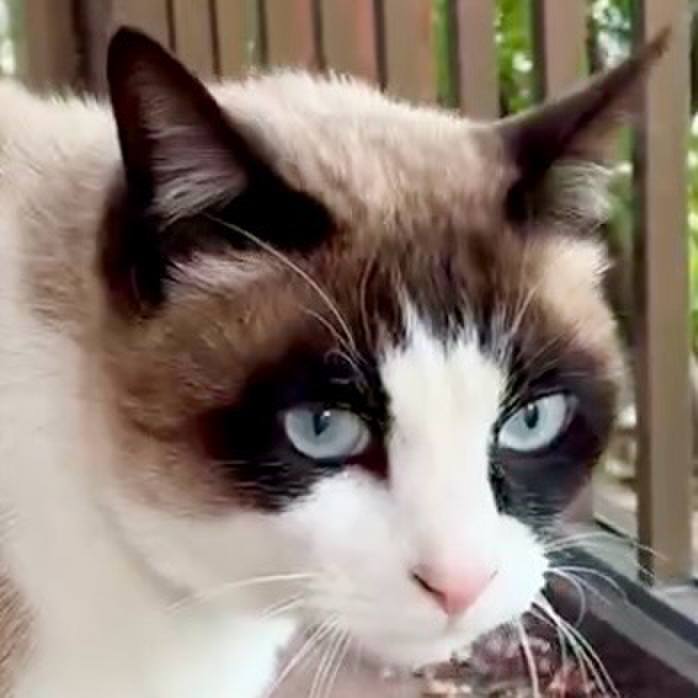 26316987 169e 456a adec c29960dba6cc 1773150473599