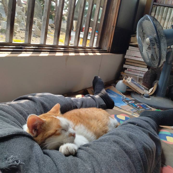 263186ee d2a4 4743 aa7c 158c2e736667 1744348482827