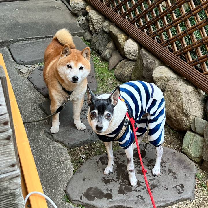 263197b4 c935 4140 bf5a aac3ce0a5c20 1642291587003