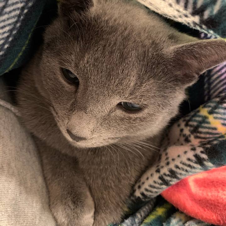 26319a28 48b1 459e 93be 326fd2def8d8 1580419361209