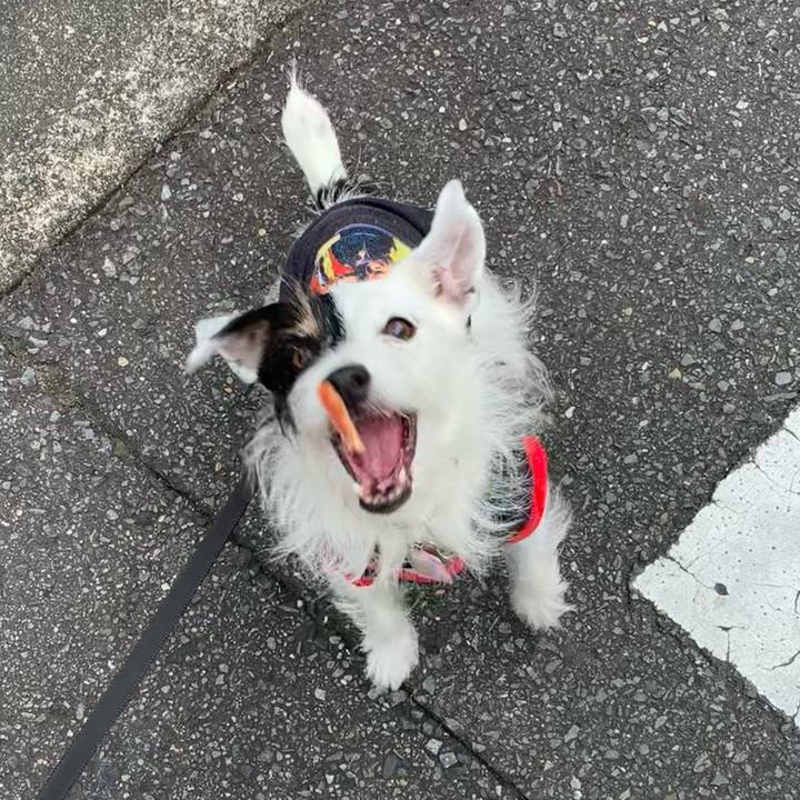 2631a4f4 f7d9 4dd8 87dc 40a63efbbd58 1666139943464