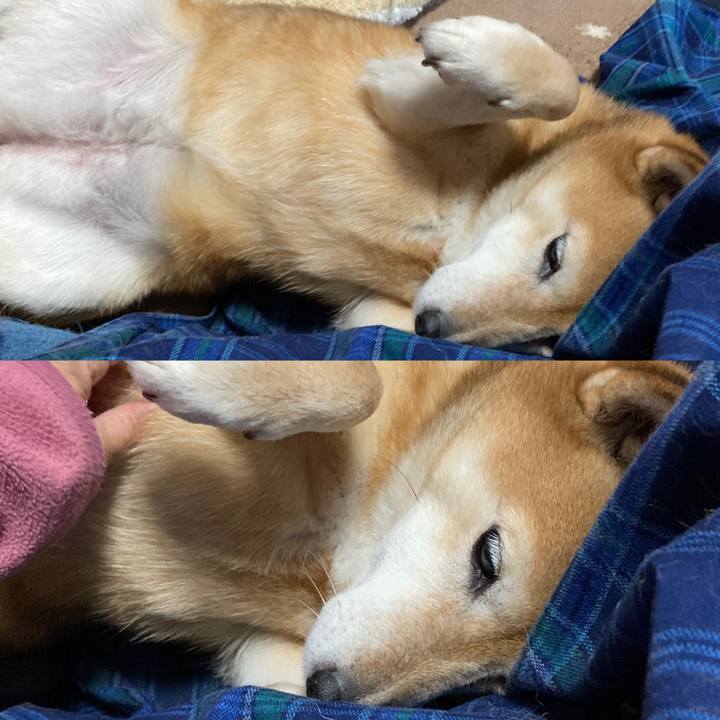 2631f820 0ba9 4226 8476 441953ee3851 1636153365681