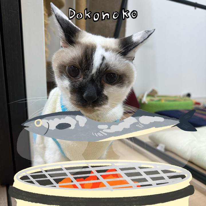 26324817 3529 4f06 bc58 cae4992a1782 1761115242901