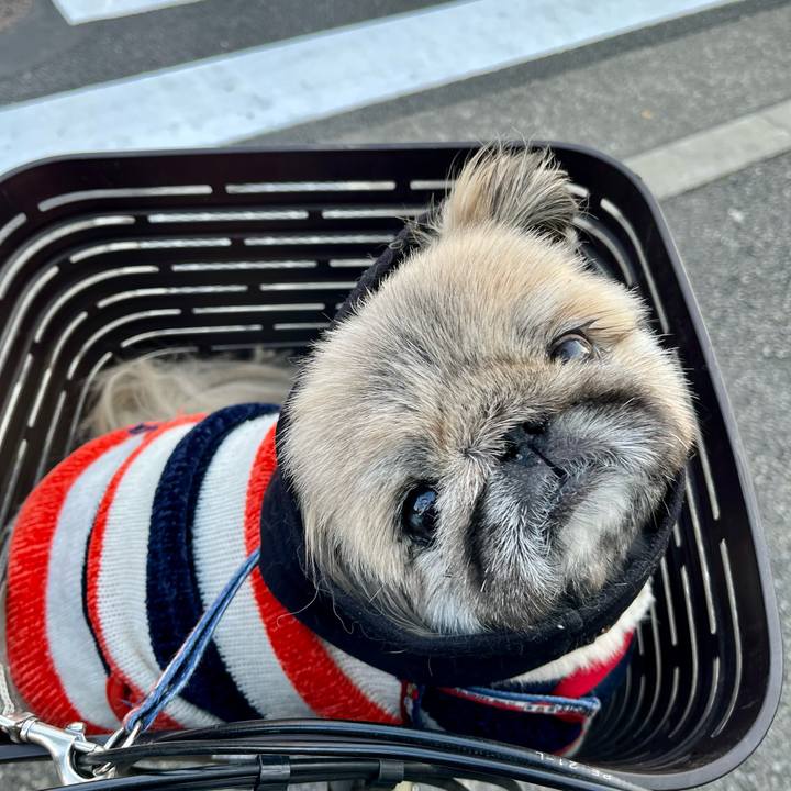 26325151 2309 43da a4f9 e32f4f92f5f6 1737678017340