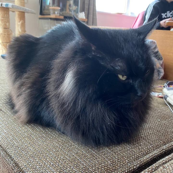 2632644e 9160 4ecc 928d cf27105d8100 1576985559179