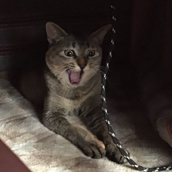 26326b2d 6e61 4c59 962b 9588099d2be1 1581029861940