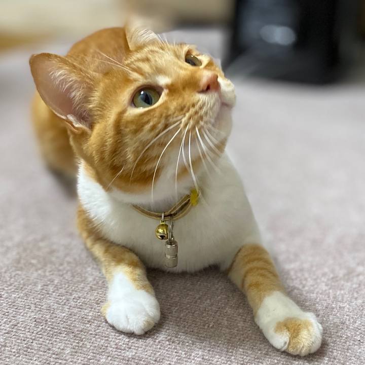 2632866e 2936 422f 996d 3672f92ac5c8 1590144562469