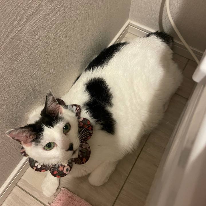 26328906 02c1 420a a053 560298e60974 1686147123838