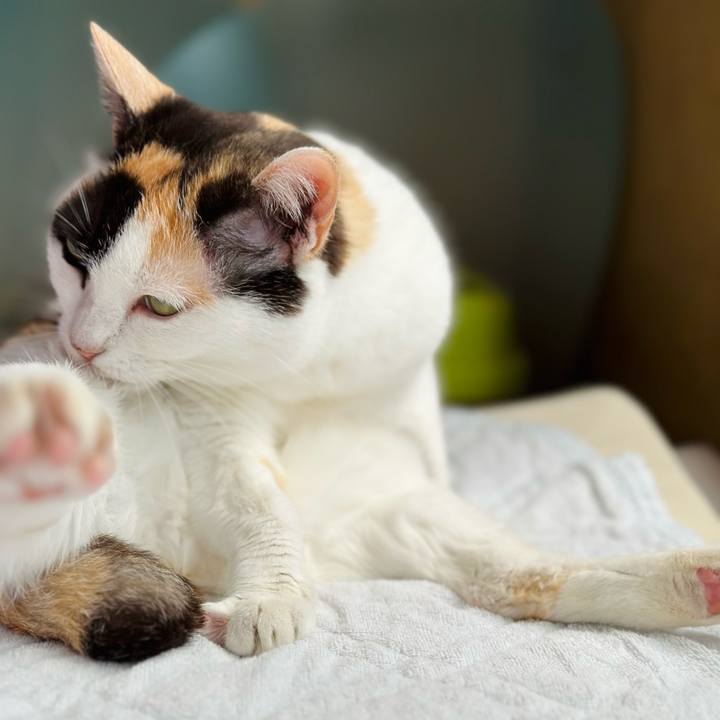 26329b45 a78a 42c7 a6fd ffc0f001900d 1717294206005