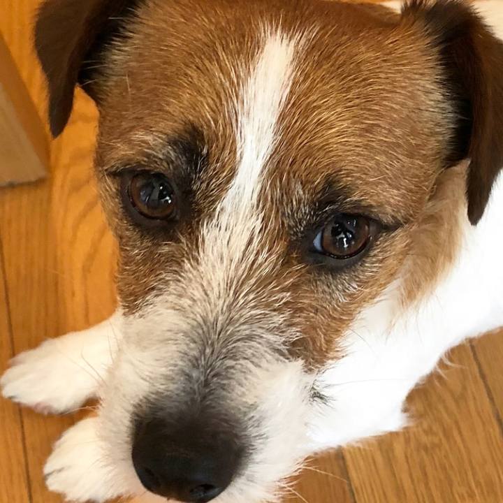 2632a5a7 a9ec 4503 80cc 9ebbd01b5c7b 1522844082454