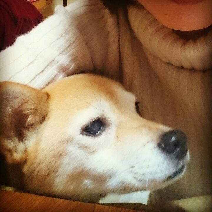 2632b01a 46e9 4a04 8e62 9476fd470f1c 1545554312301