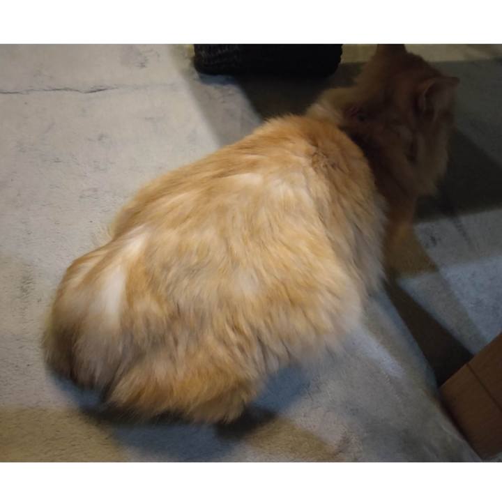 2632d829 f861 41c9 b53d a1107be23db1 1687436544425