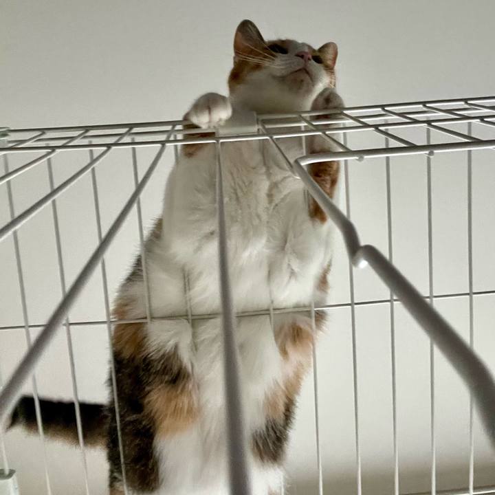 263332e8 b5f7 4d50 ba97 f60f3314b0f1 1760005573875