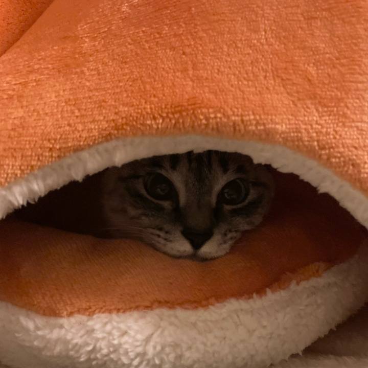 263339ce 396b 42d2 aed4 1415f640ed5d 1607765187030