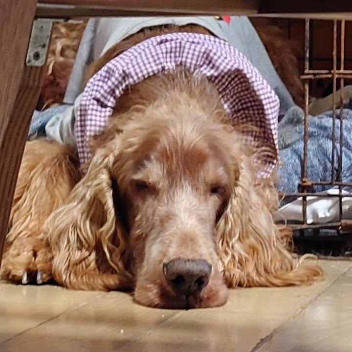 26334558 54cf 4d22 9ed0 b0f65850d167 1698061828993