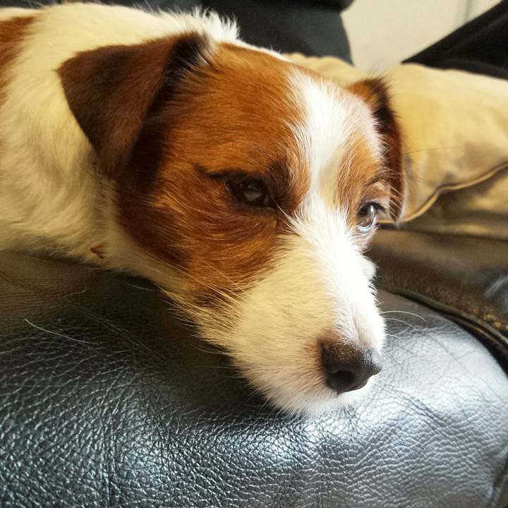 2633a29f 37bd 4b5d 9586 da67566932eb 1509750684806