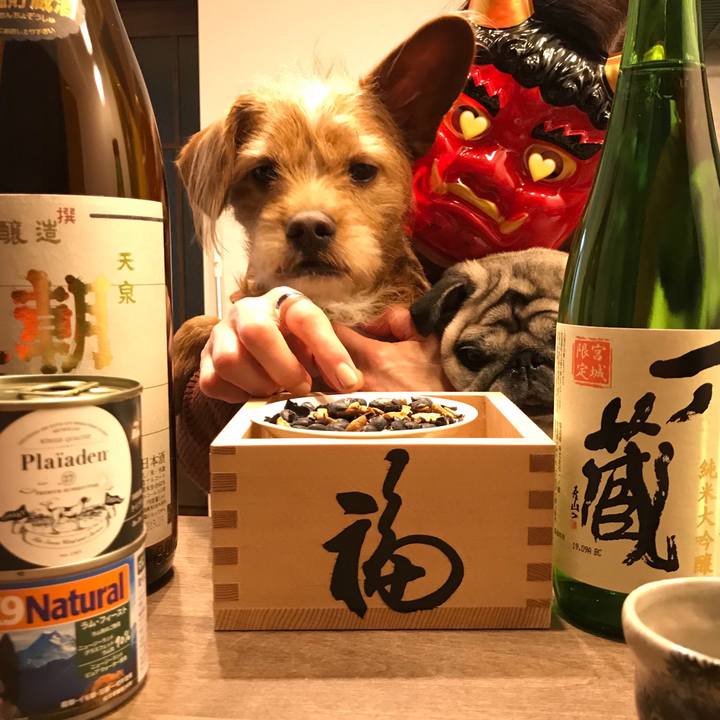 2633b47b c0a0 4d88 99d4 e2f6fbeb7390 1580651478647