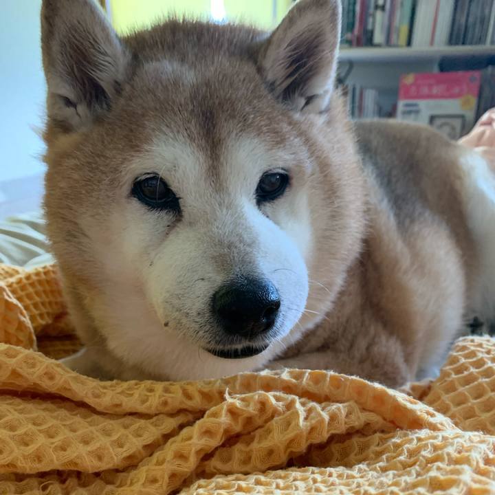 26340dda f317 4ad0 b4c9 50d8f90c9f44 1628040271584