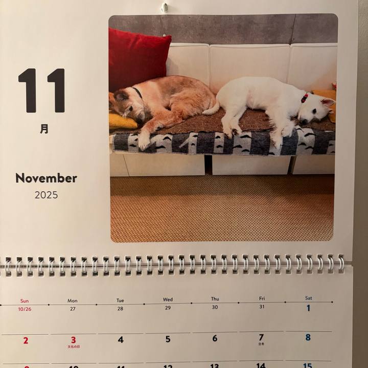 26340e63 da63 4da3 917f 973259e1fb57 1761960802386