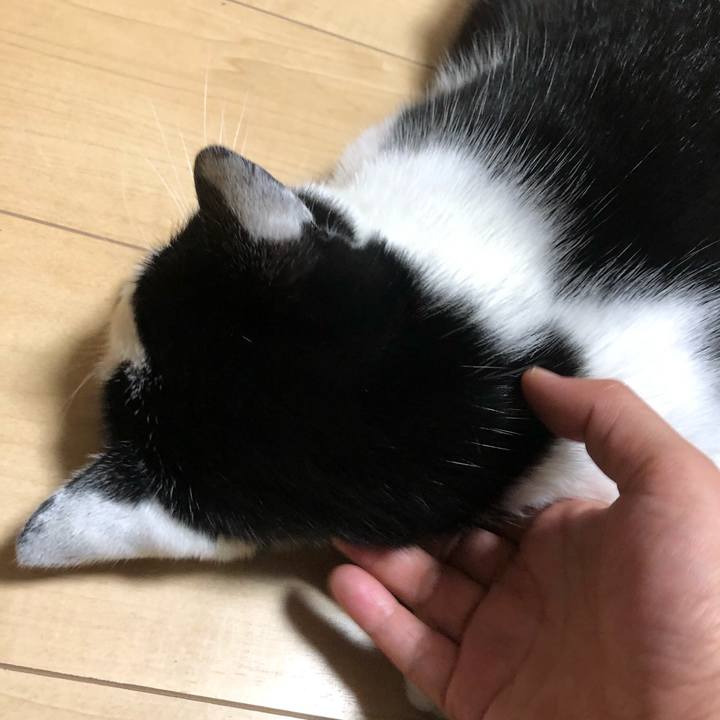 26342489 61e1 4f72 bb6f 1f030ff10843 1573739377130