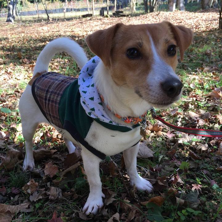 26343391 ddf1 4640 80ad 3371dee26c84 1510467598279