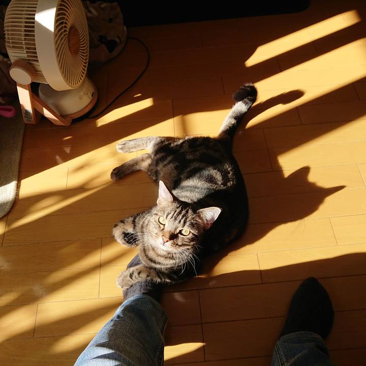 26347ca1 e634 42a0 bdf8 a36498b1464d 1573532516491