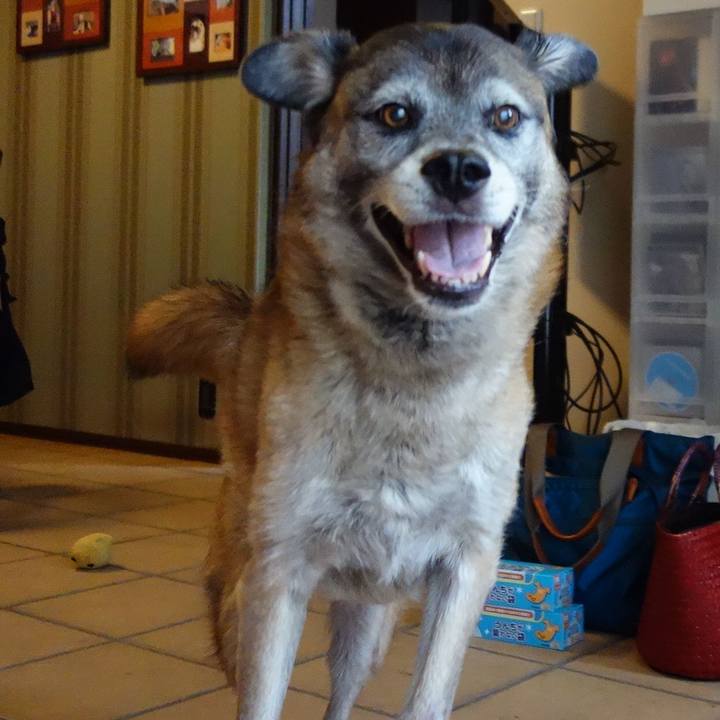 2634964f 0ed2 4d89 8cf0 79329e106234 1534466033755