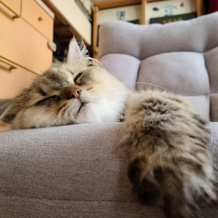 2634b30d fb78 4b39 bf9a a28a89eac78c 1625563772893