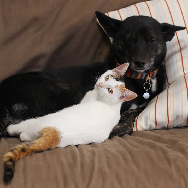 2634bbc2 9c01 4fbc 87fc 835d84ae551c 1546253965008