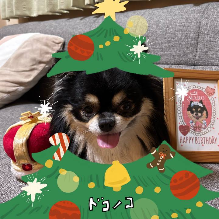 2634f95c 6a4c 4564 9aaa 7c8c0feb869b 1761232580656