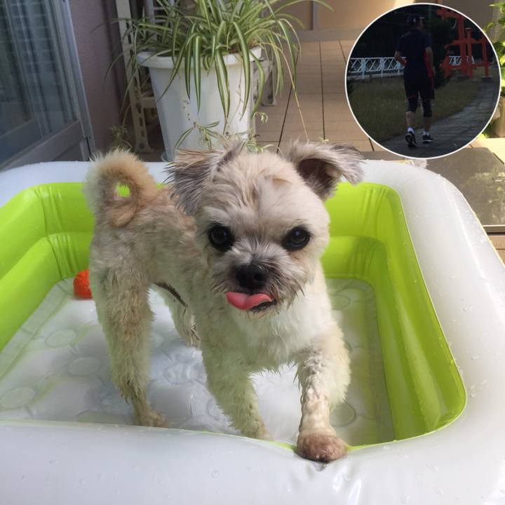 2635d1da b181 4ae8 a529 8d3d3f7444ee 1535168884970