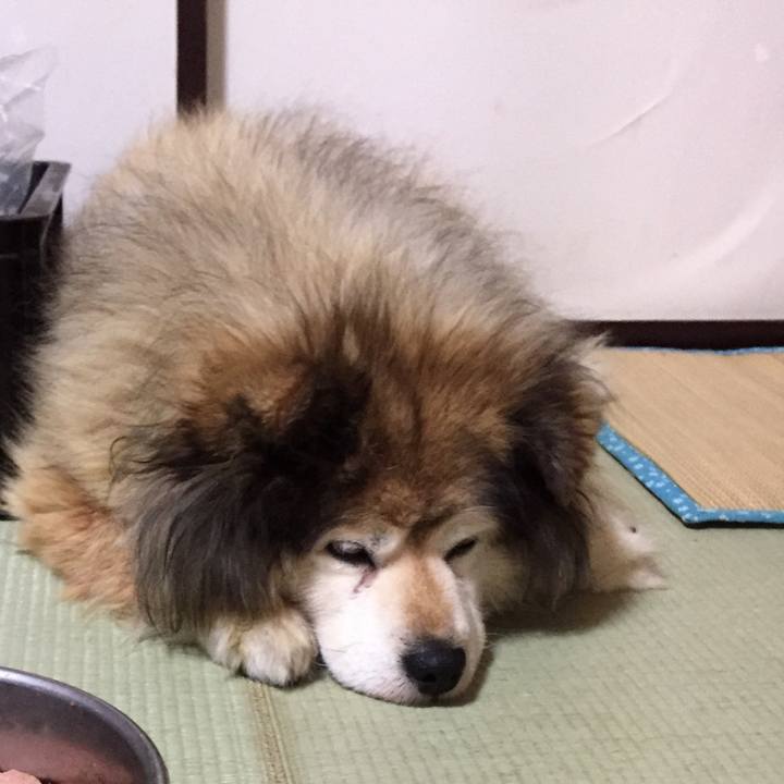 2635e810 237a 4fd4 9e81 24432e9d51bd 1621558360675