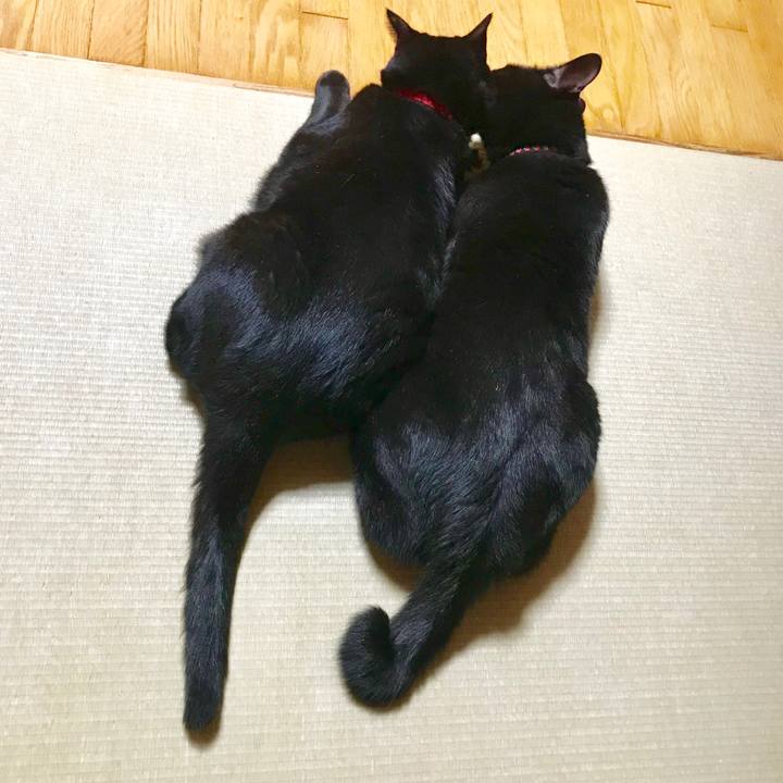 2635f5c8 42a0 4375 a14e b8e23f3de667 1537357881279