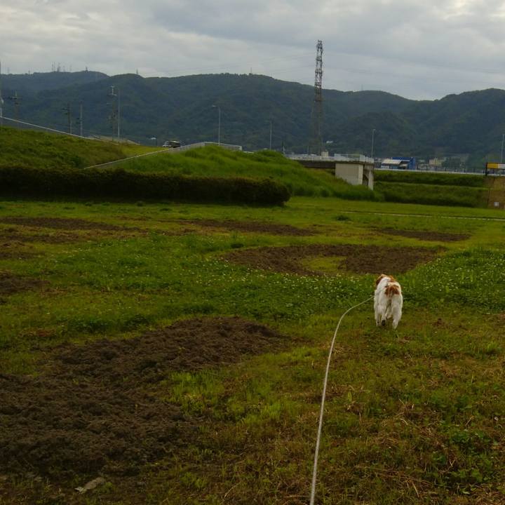 263625e3 2711 479f ac97 2727722bb7a6 1527553217366