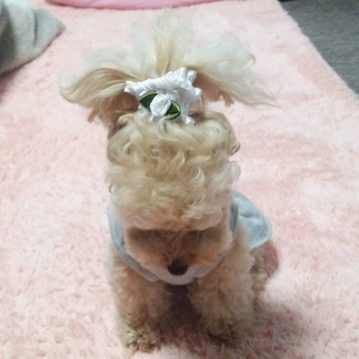 26363a45 dba5 4ae8 8a3b 71fce14228d1 1523696250546