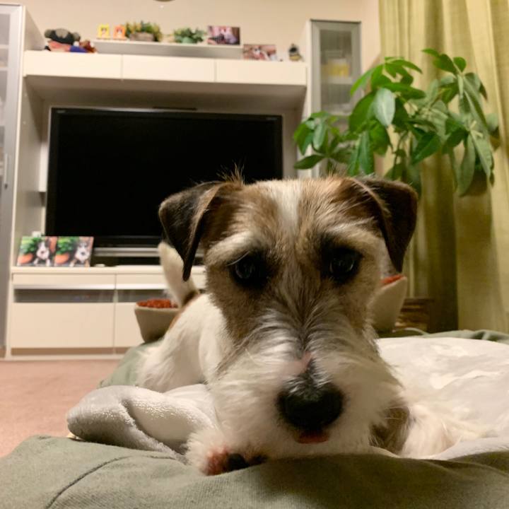 26366118 39c8 46c1 9a0d 889d83858eb0 1578489752940