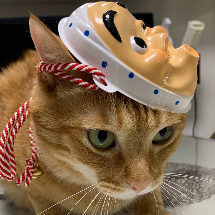 26366b87 01c2 4457 836f fd73edd94384 1597451994868