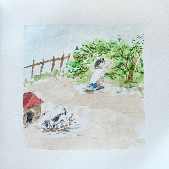 263685c1 649f 4246 b576 b9967020b653 1679274111281