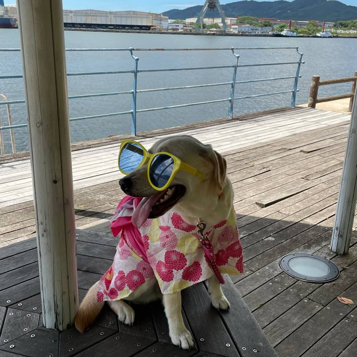 26369f9a c948 4044 8019 be0ba651ecfd 1628322456675