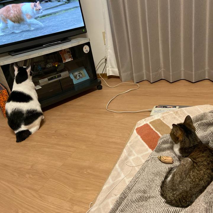 2636ae53 408a 44d3 8ad3 2d5f67d10021 1575638771923