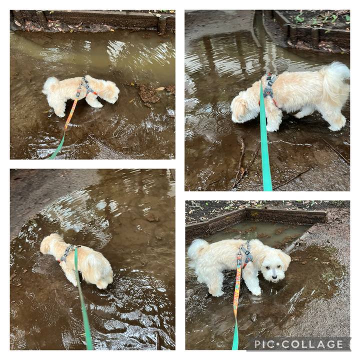 2636d2bf 1a34 4054 b151 c673739ff6cb 1757755001886