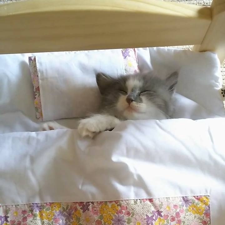 2636f886 2a83 48b9 9562 ac9b7953eaca 1559530728149