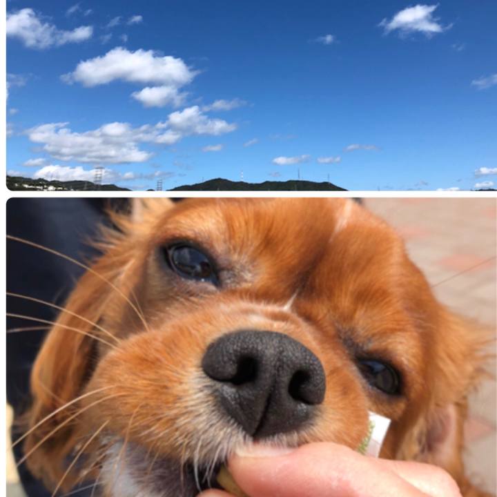 26374715 fb65 48bd 9eb0 ee009a1d2f60 1539210039101