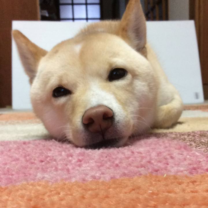 263753ee c02a 42e3 98c6 e00ef139c88c 1513509793763