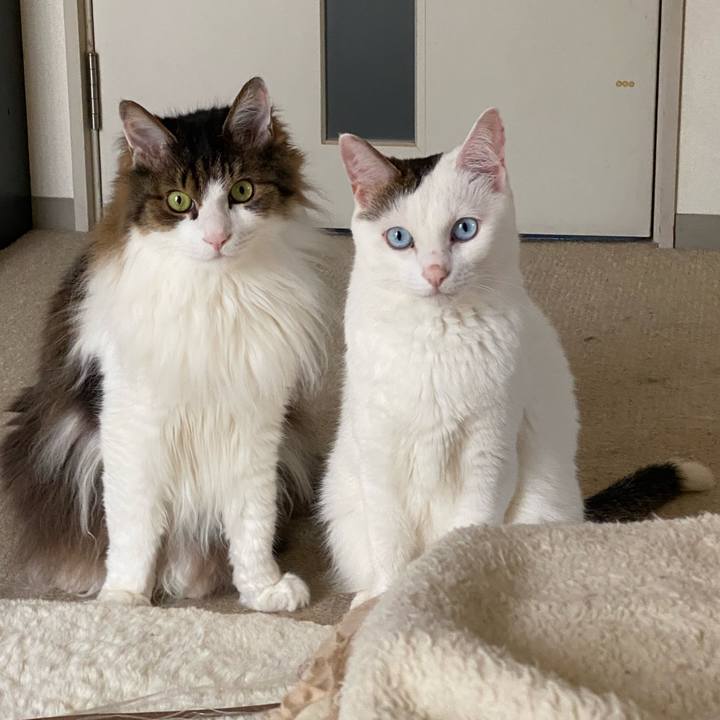 2637a228 f41d 4e6e 8c0b 34a0f151c5f2 1687958395633